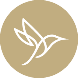 Allied Schools